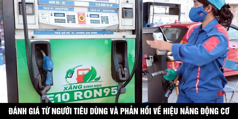 Đánh giá từ người tiêu dùng và phản hồi về hiệu năng động cơ