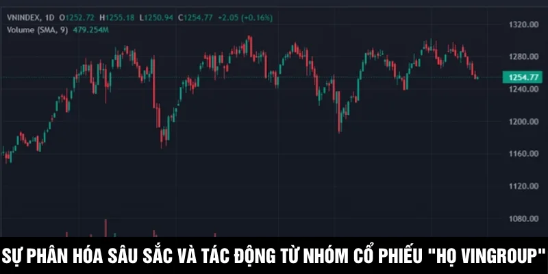 Sự phân hóa sâu sắc và tác động từ nhóm cổ phiếu "họ Vingroup"